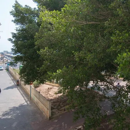 113 Beach&trees - Alicante