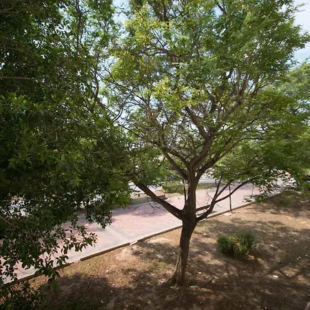 Appartement 113 And Trees - Alicante Torrevieja