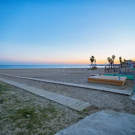 113 And Trees - Alicante *