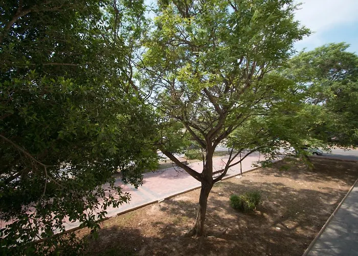 Apartment 113 And Trees - Alicante Torrevieja