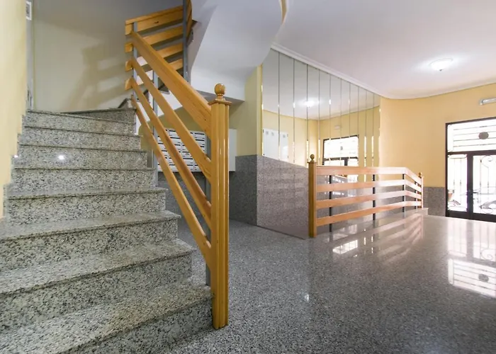 113 And Trees - Alicante Apartment