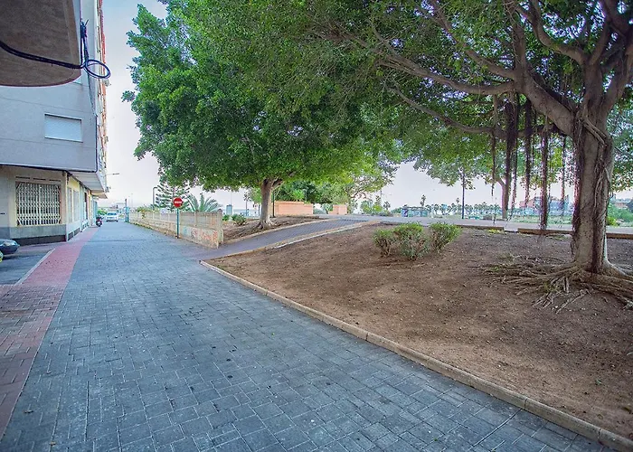 113 And Trees - Alicante Apartment