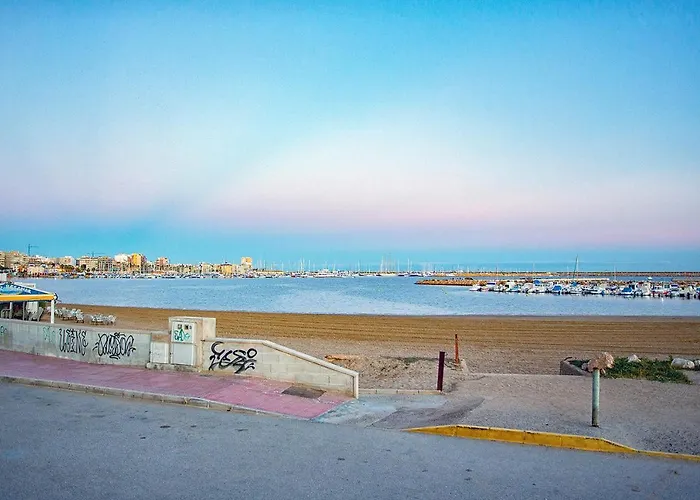 Apartment 113 And Trees - Alicante *